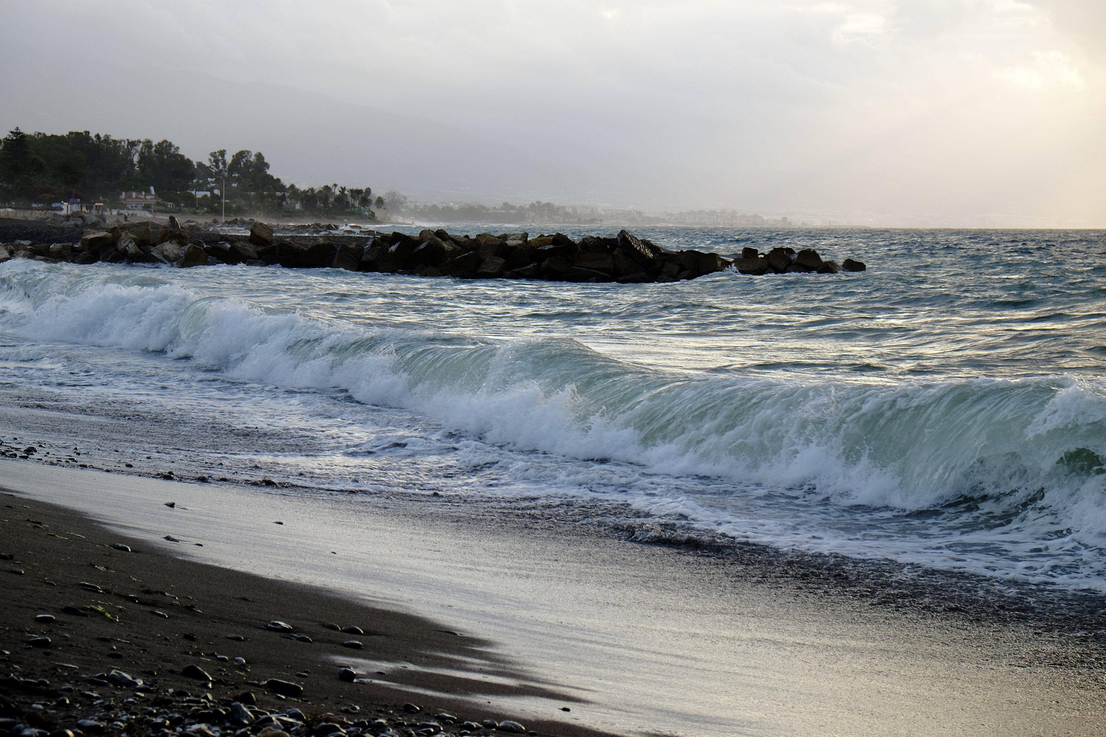 Spiaggia con palme e hotel, 1242x2688 Full HD Verticale, Smartphone