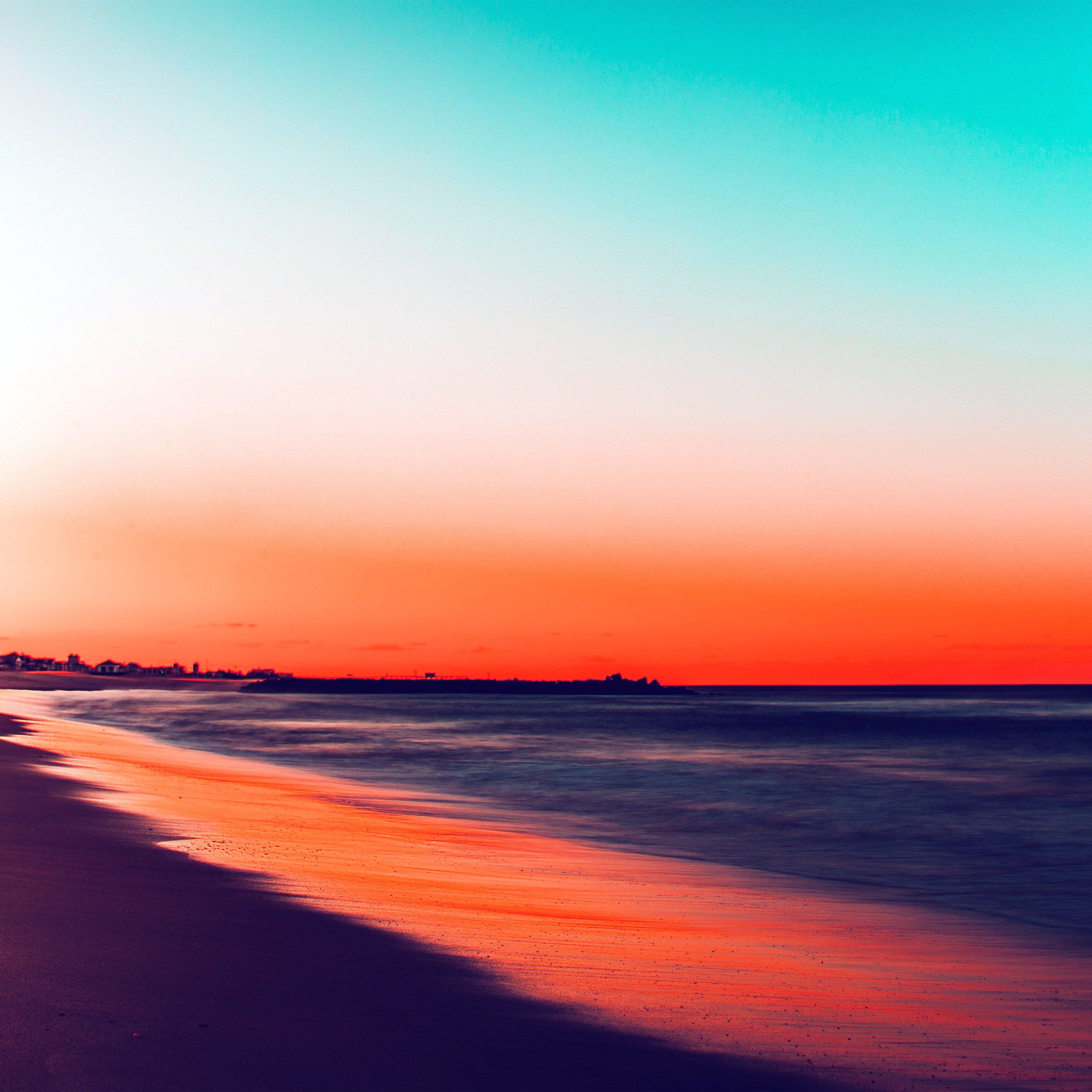 Cavalli bianchi al tramonto, 1127x700 HD, Desktop