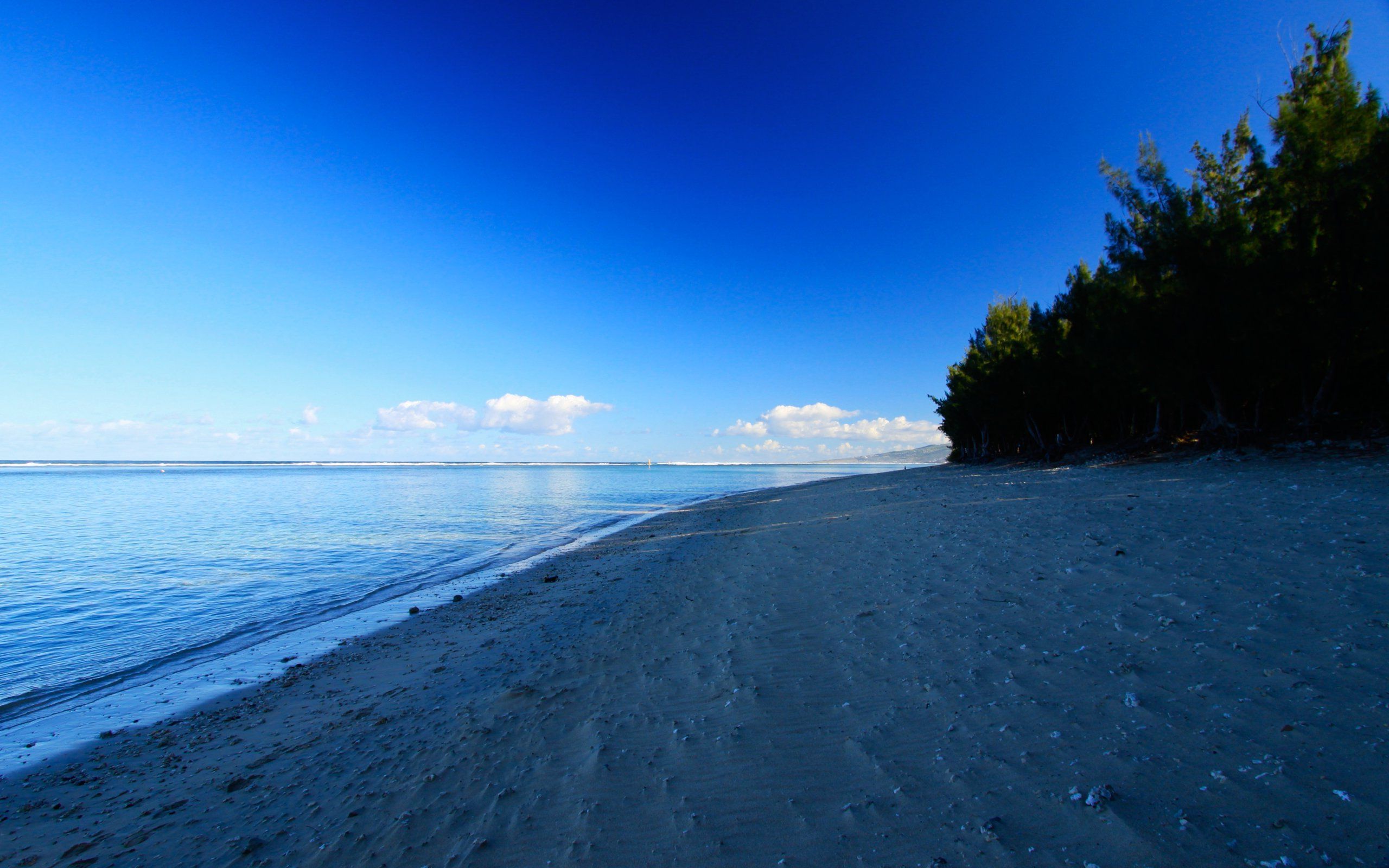 Alba sulla spiaggia dorata, 1920x1080 1080p, Desktop