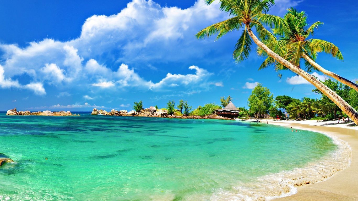 Spiaggia tropicale con palme, 1366x768 720p, Laptop