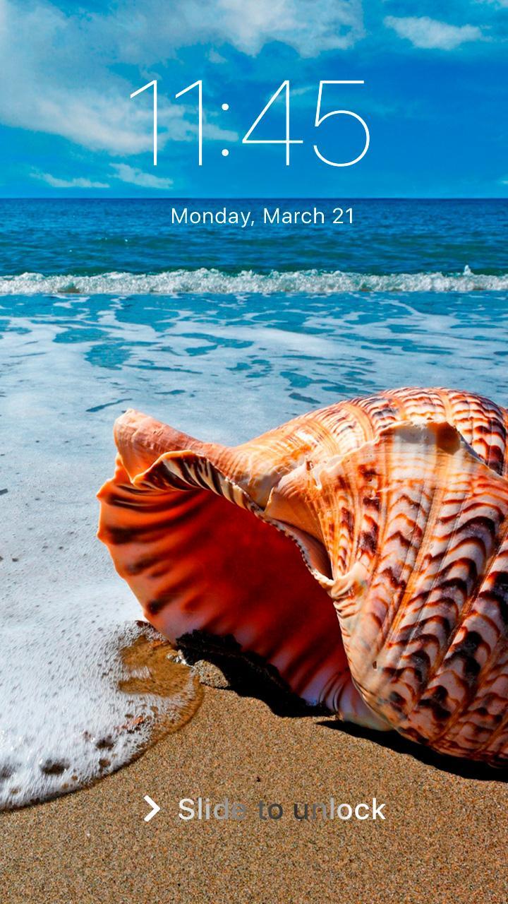Conchiglia sulla spiaggia con onde, 720x1280 Verticale, Mobile