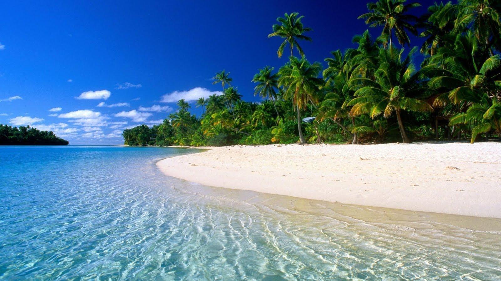 Spiaggia tropicale caraibica, 1600x900 HD, PC Desktop