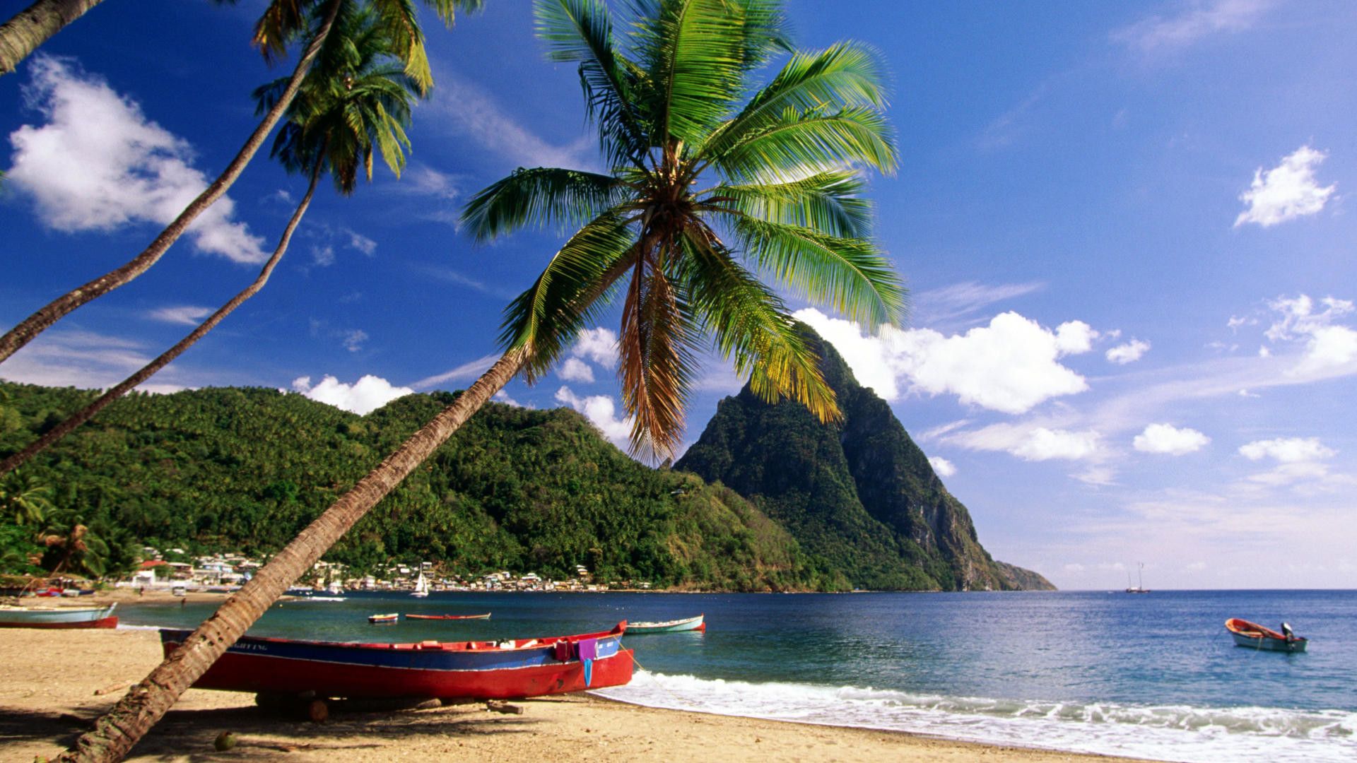 Spiaggia caraibica con palme, 1920x1080 Full HD, Monitor Gaming