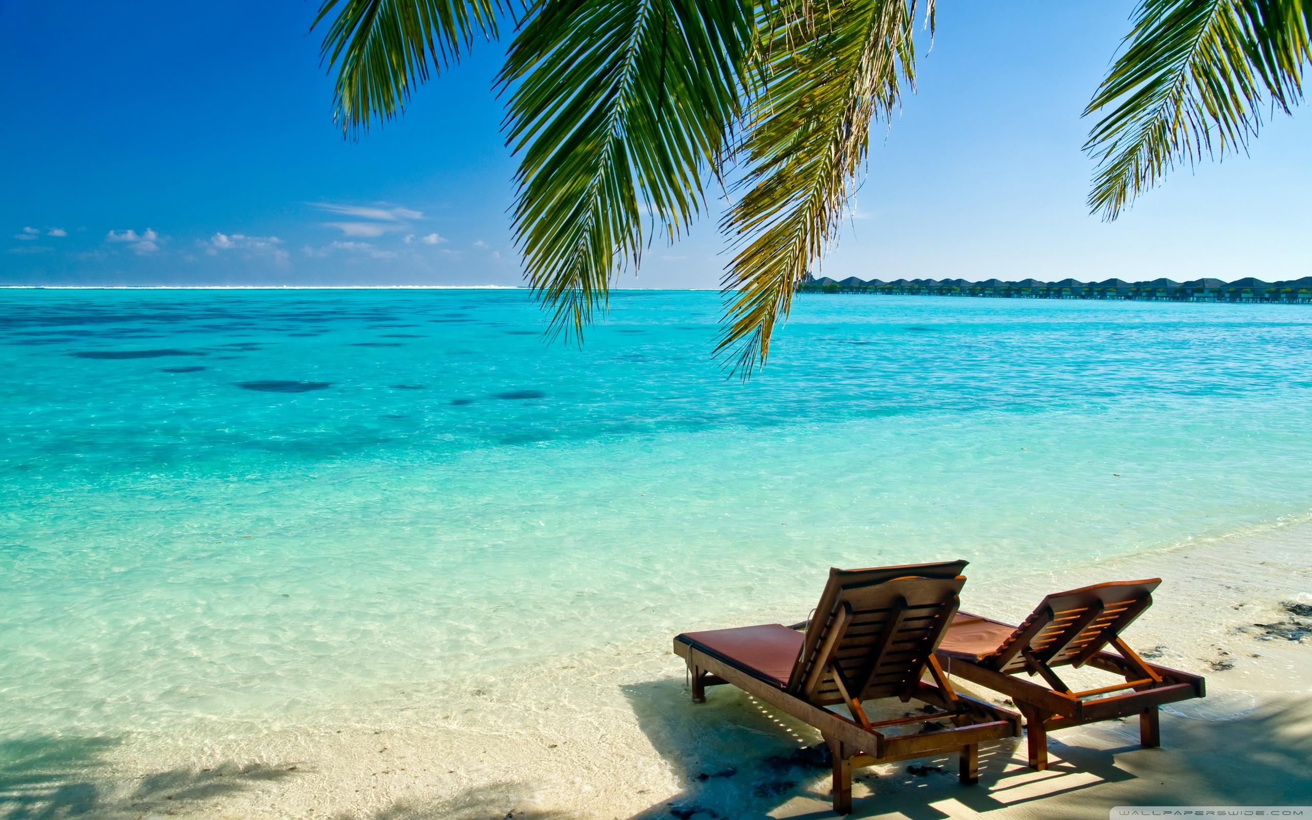 Sdraio spiaggia caraibica turchese, 2560x1600 2K+, PC Desktop