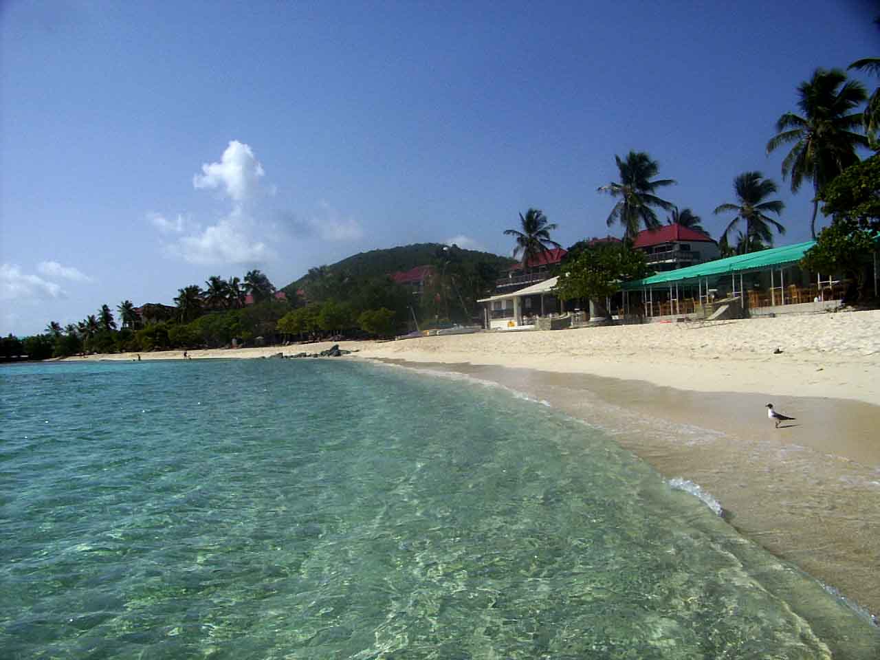 Spiaggia caraibica con palme, 1280x960 720p, PC
