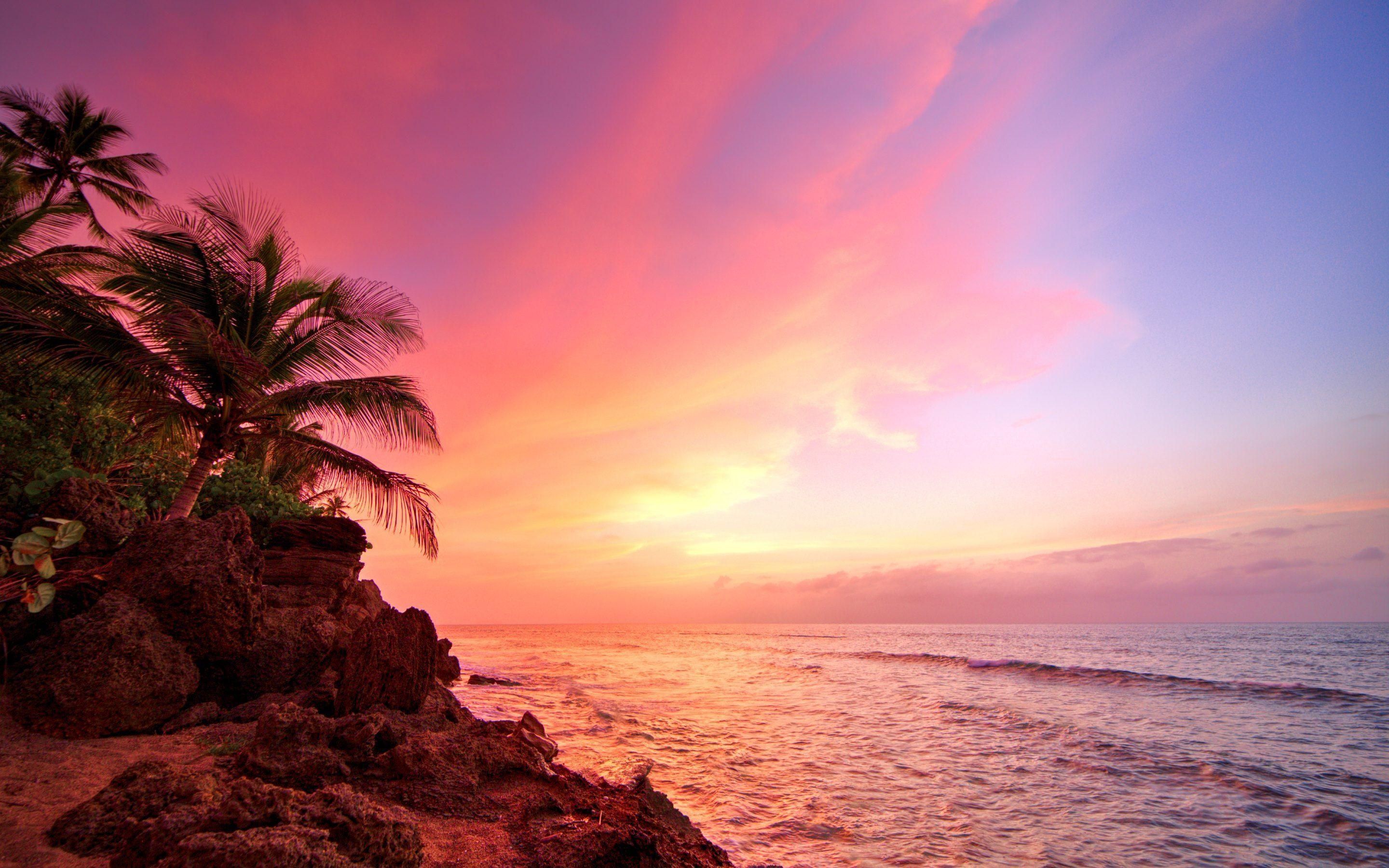 Spiaggia caraibica al tramonto, 2880x1800 2K+, PC