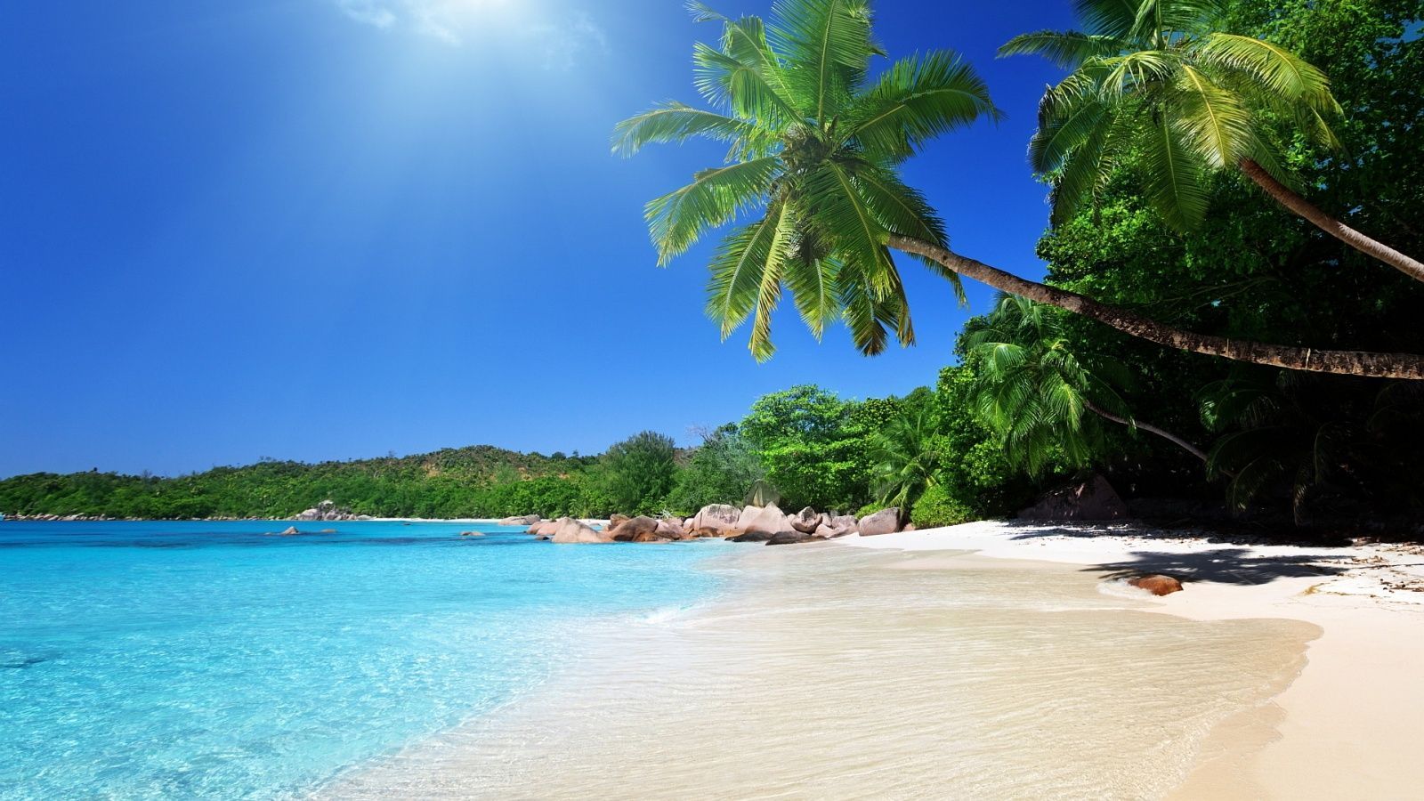 Spiaggia tropicale con palme, 1600x900 HD Ready, PC Desktop