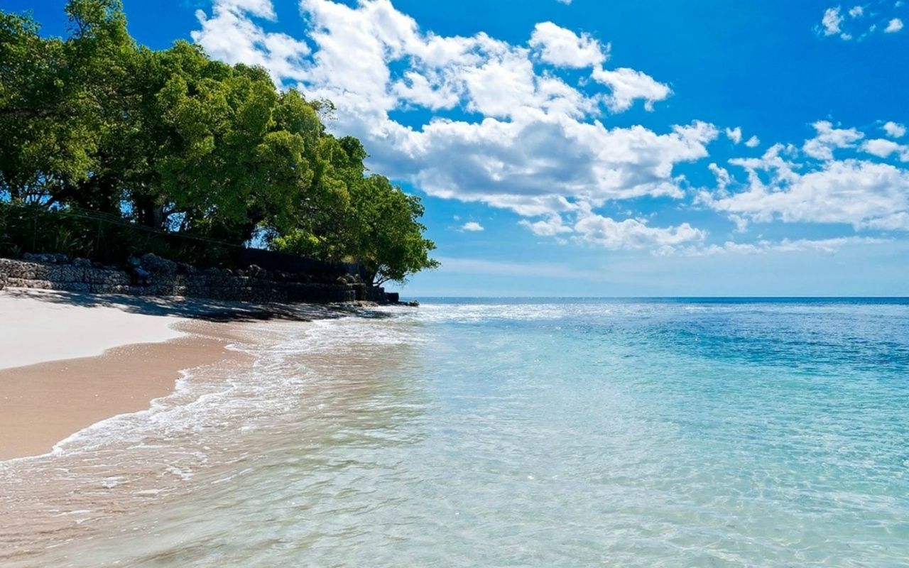 Spiaggia tropicale con alberi, 1280x800 HD, PC Desktop