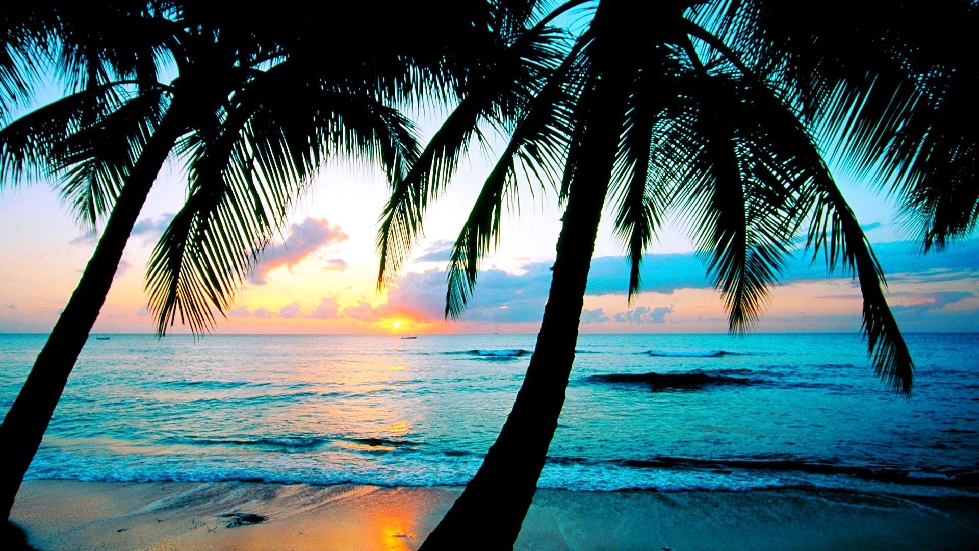 Tramonto spiaggia caraibica con palme, 1920x1080 Full HD, Desktop