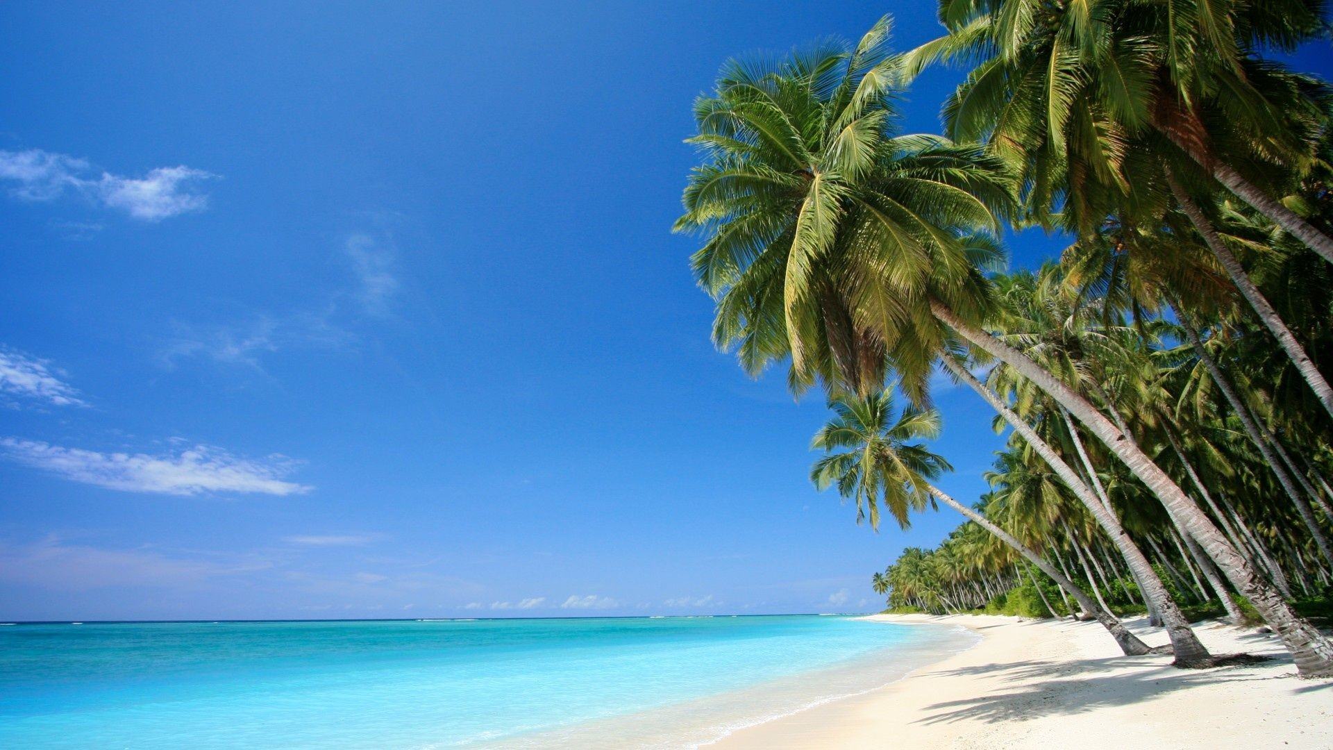 Spiaggia caraibica con palme, 1920x1080 Full HD, PC