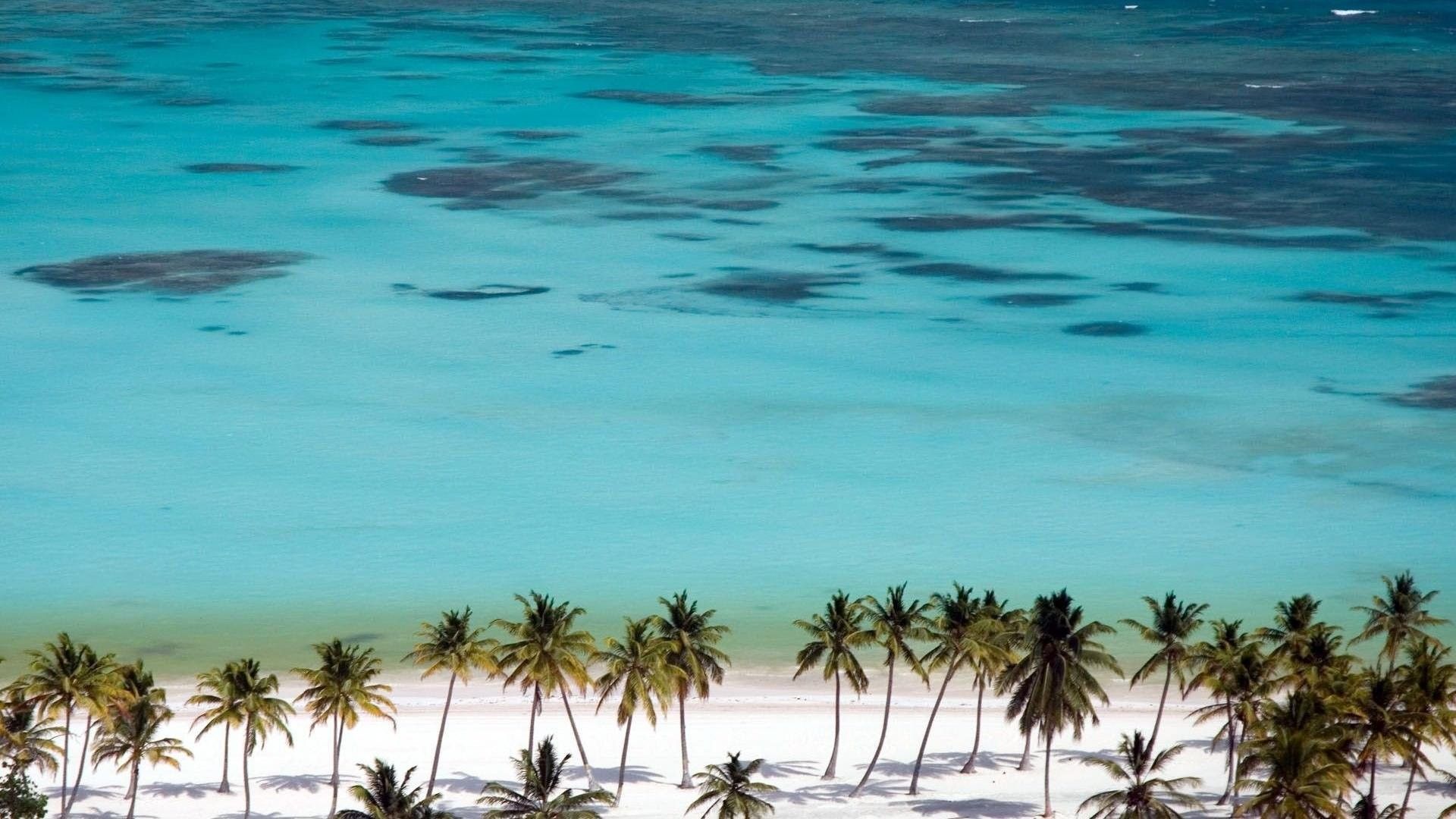 Spiaggia caraibica con palme, 1920x1080 1080p, Desktop