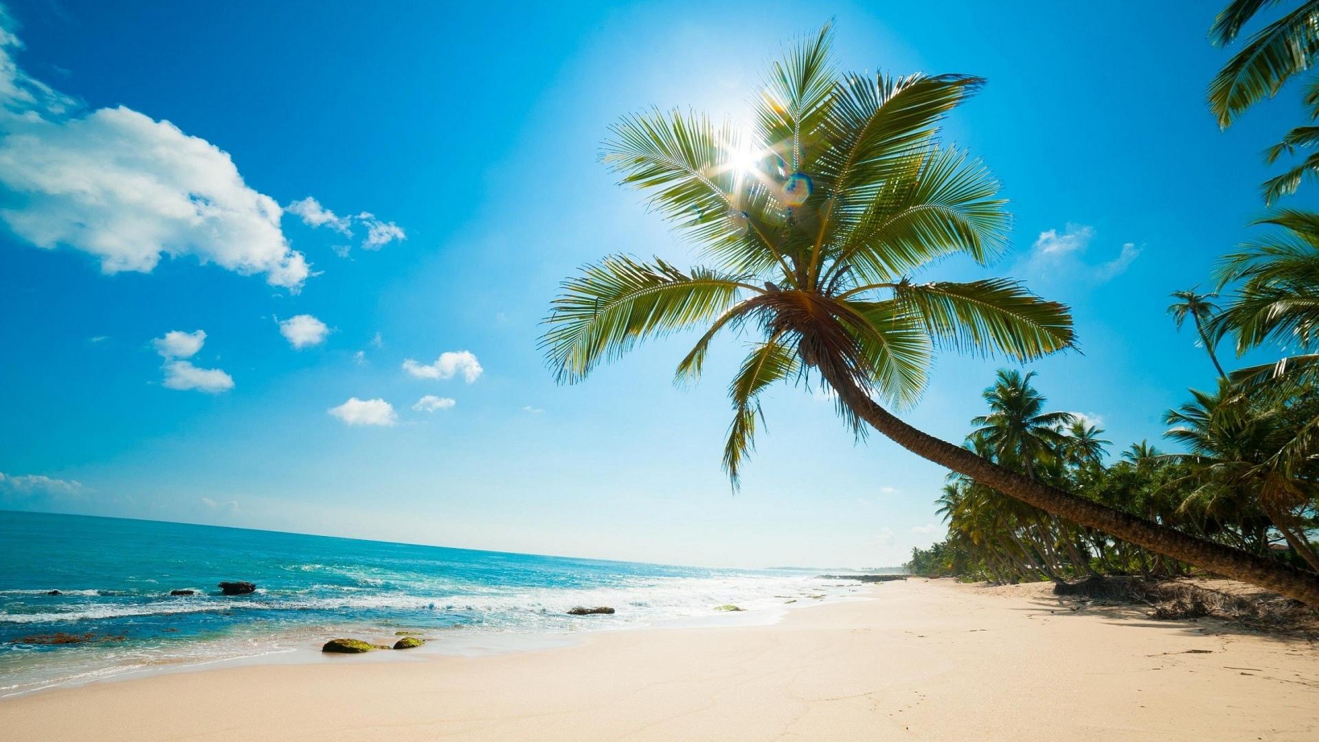 Spiaggia tropicale con palma, 1920x1080 1080p, PC
