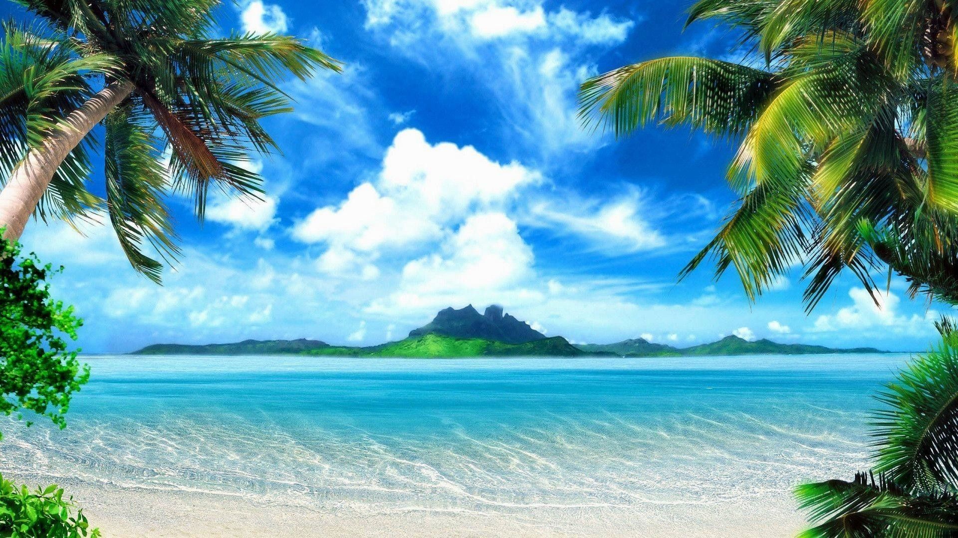 Spiaggia tropicale con palme, 1920x1080 Full HD 1080p, Desktop