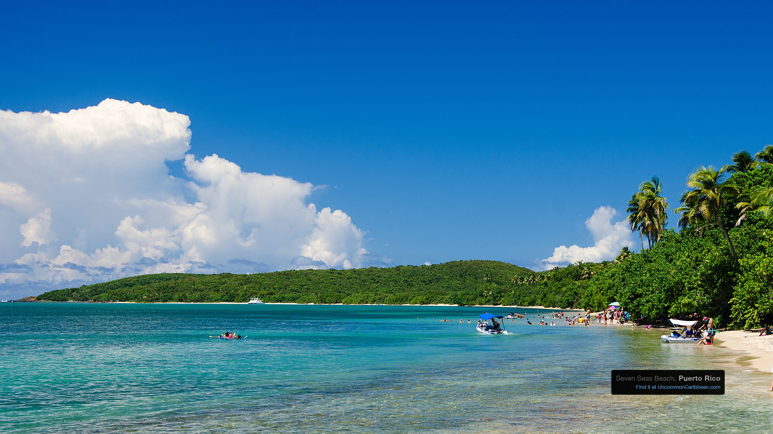 Spiaggia caraibica con palme, 2560x1440 QHD, PC