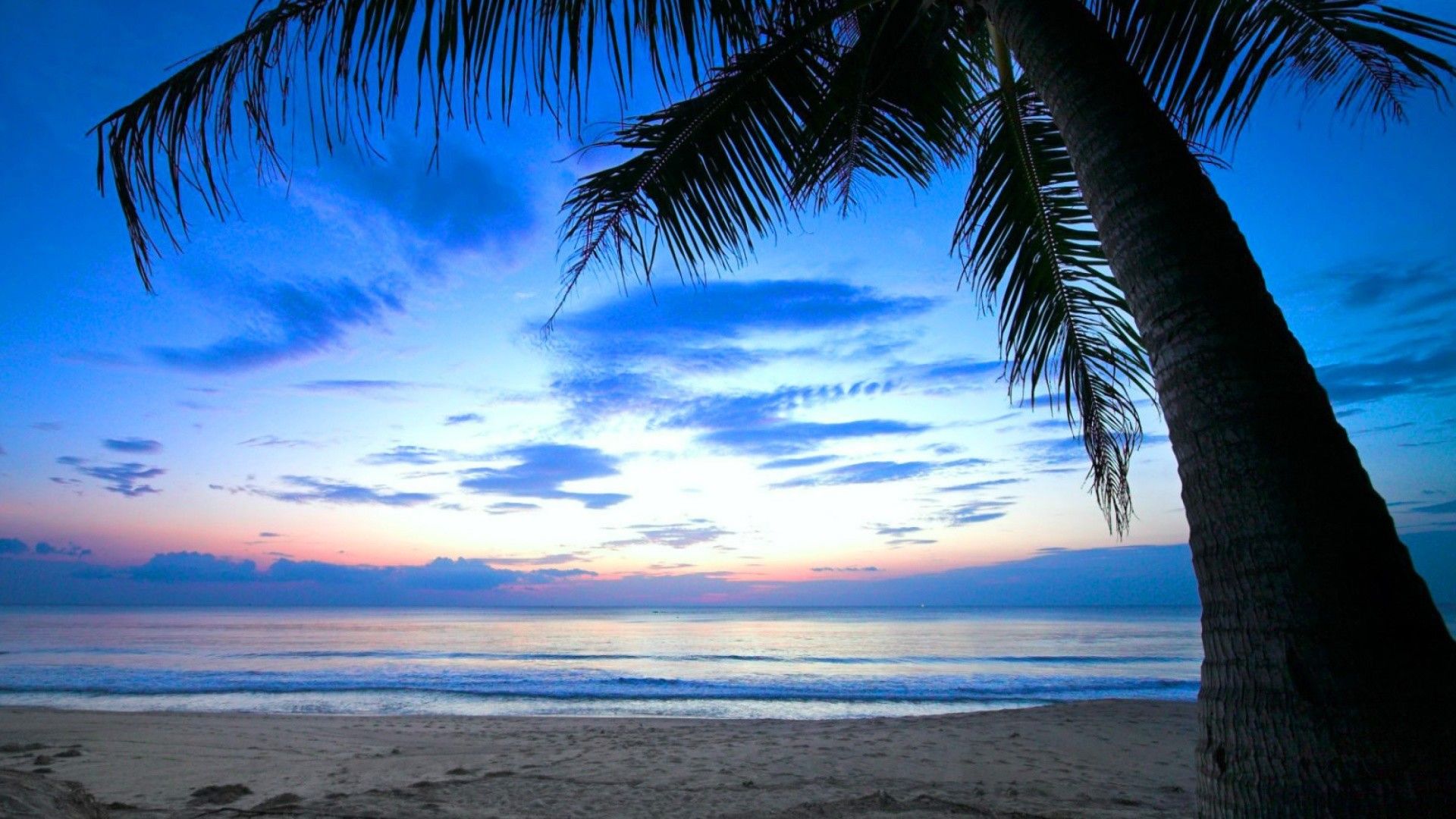 Spiaggia con palma al tramonto, 1920x1080 Full HD, PC Desktop