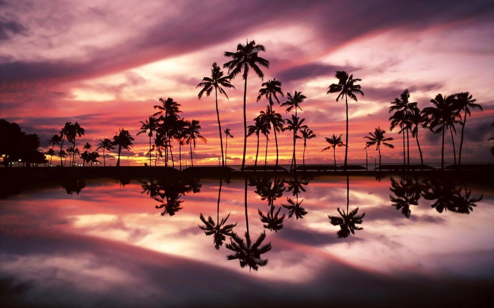 Palme al tramonto sulla spiaggia, 1600x1000 HD Ready, Laptop
