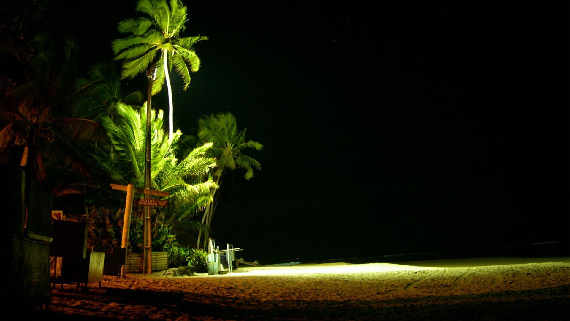 Spiaggia notturna con palme, 1920x1080 Full HD 1080p, PC
