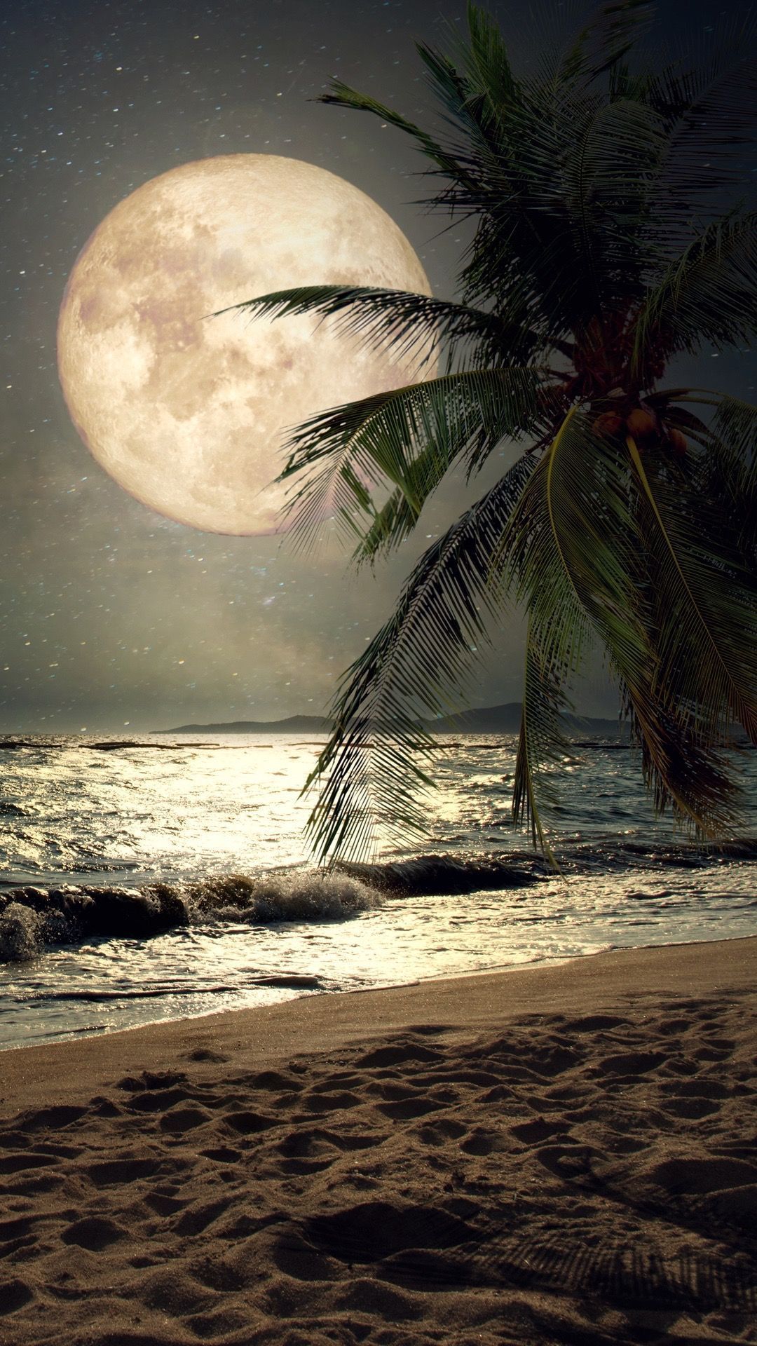 Luna piena spiaggia notturna palma, 1080x1920 Full HD Verticale, Smartphone