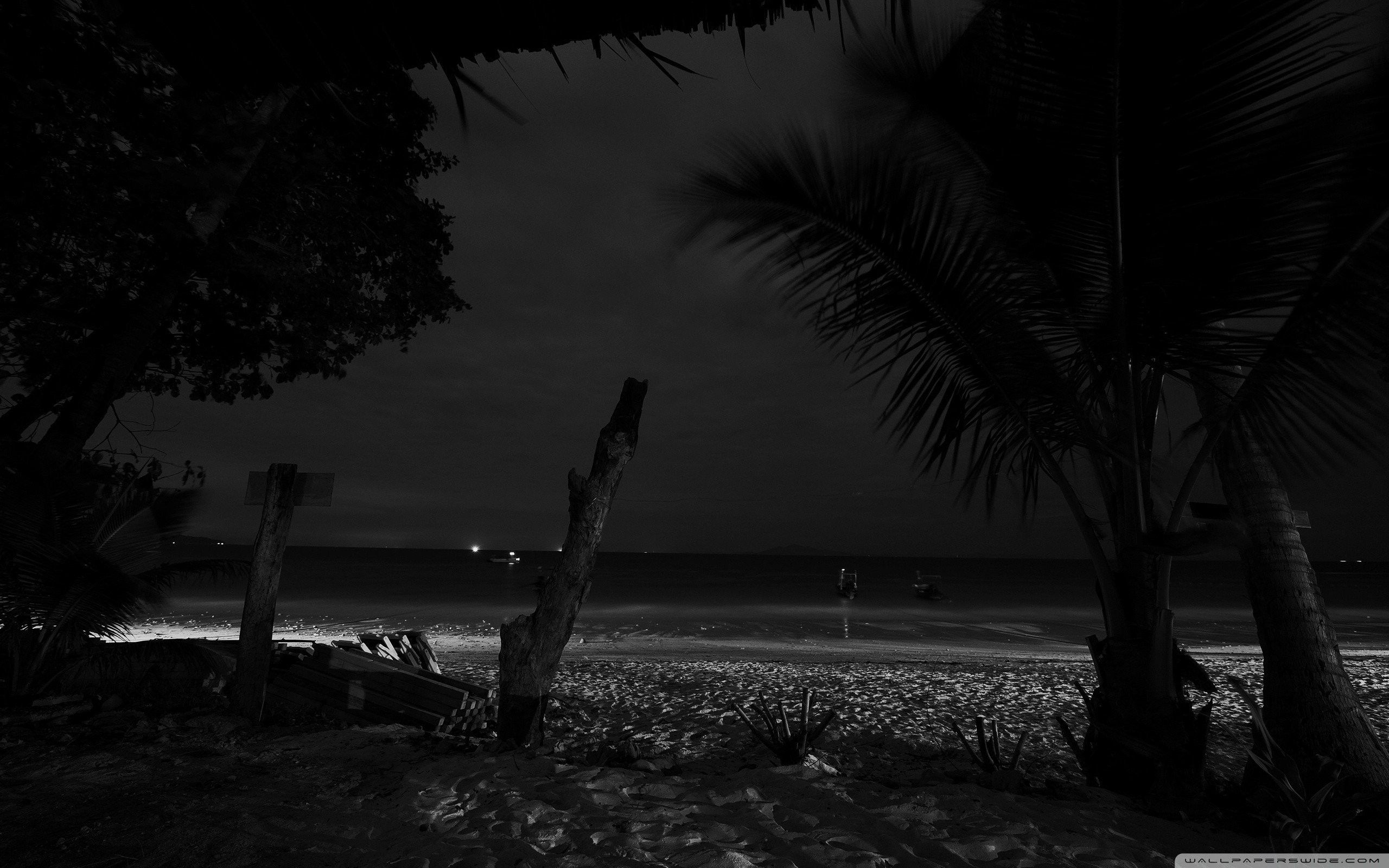 Spiaggia notturna con palme, 2560x1600 2K, Desktop