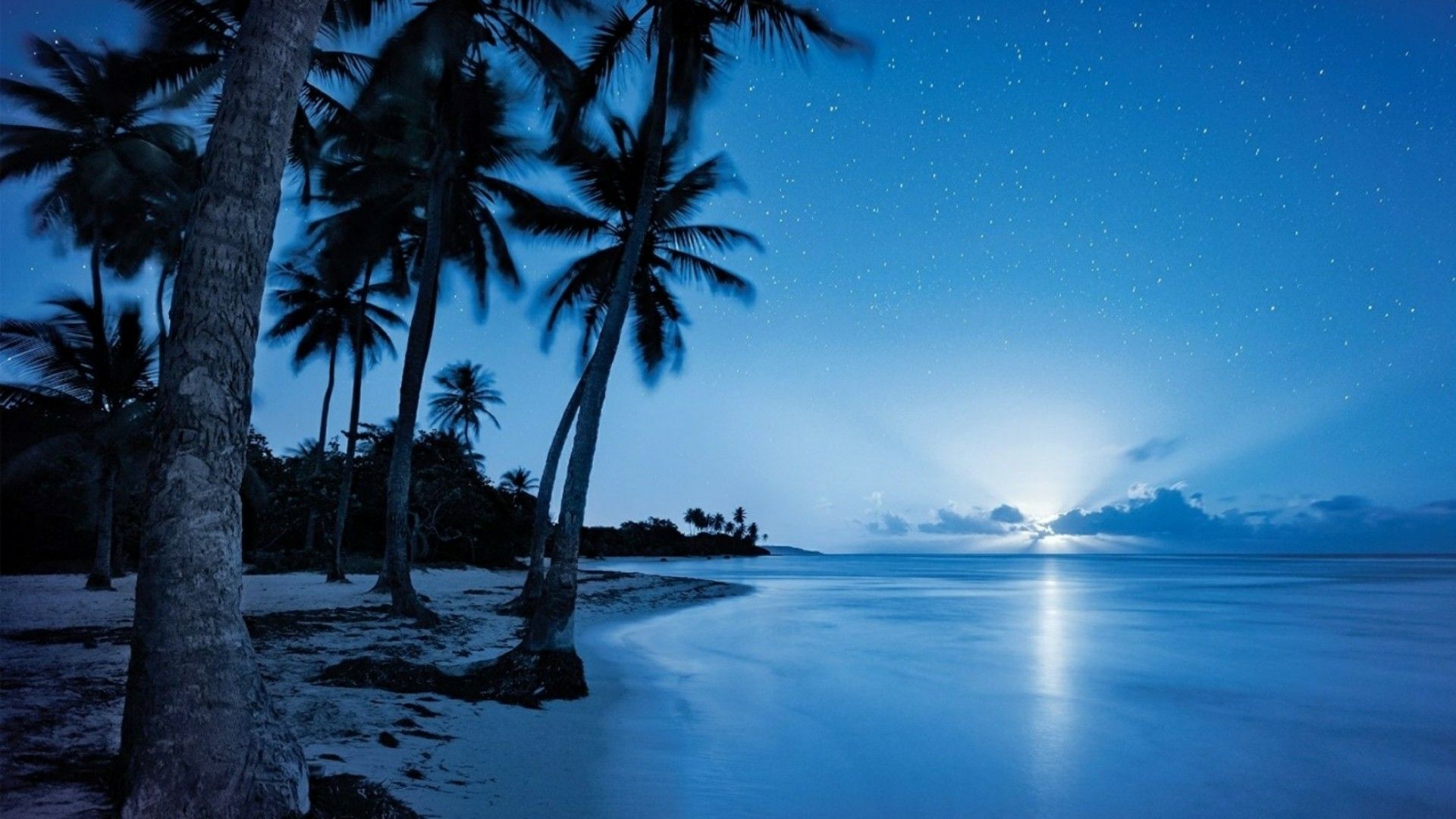 Spiaggia notturna con palme, 1920x1080 Full HD, PC