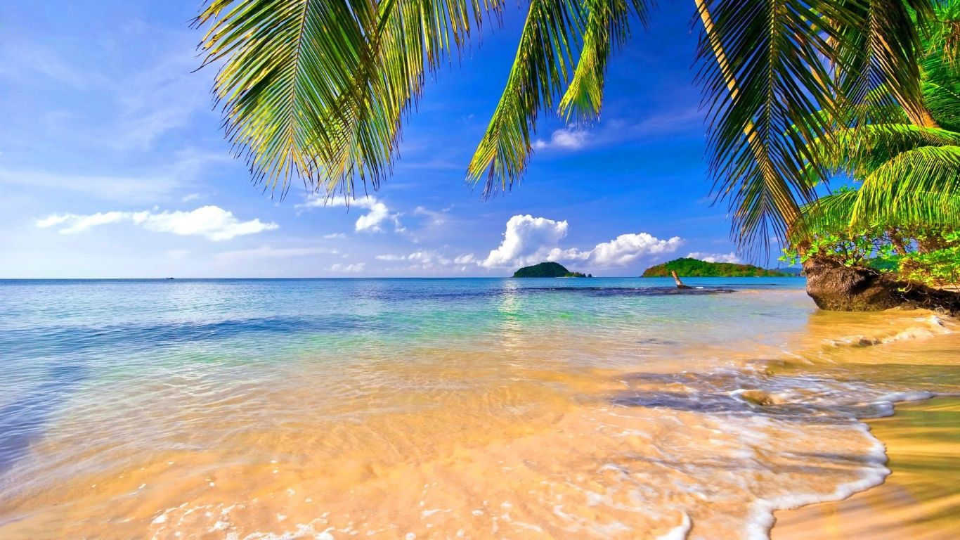 Spiaggia tropicale con palme, 1366x768 HD, PC Desktop