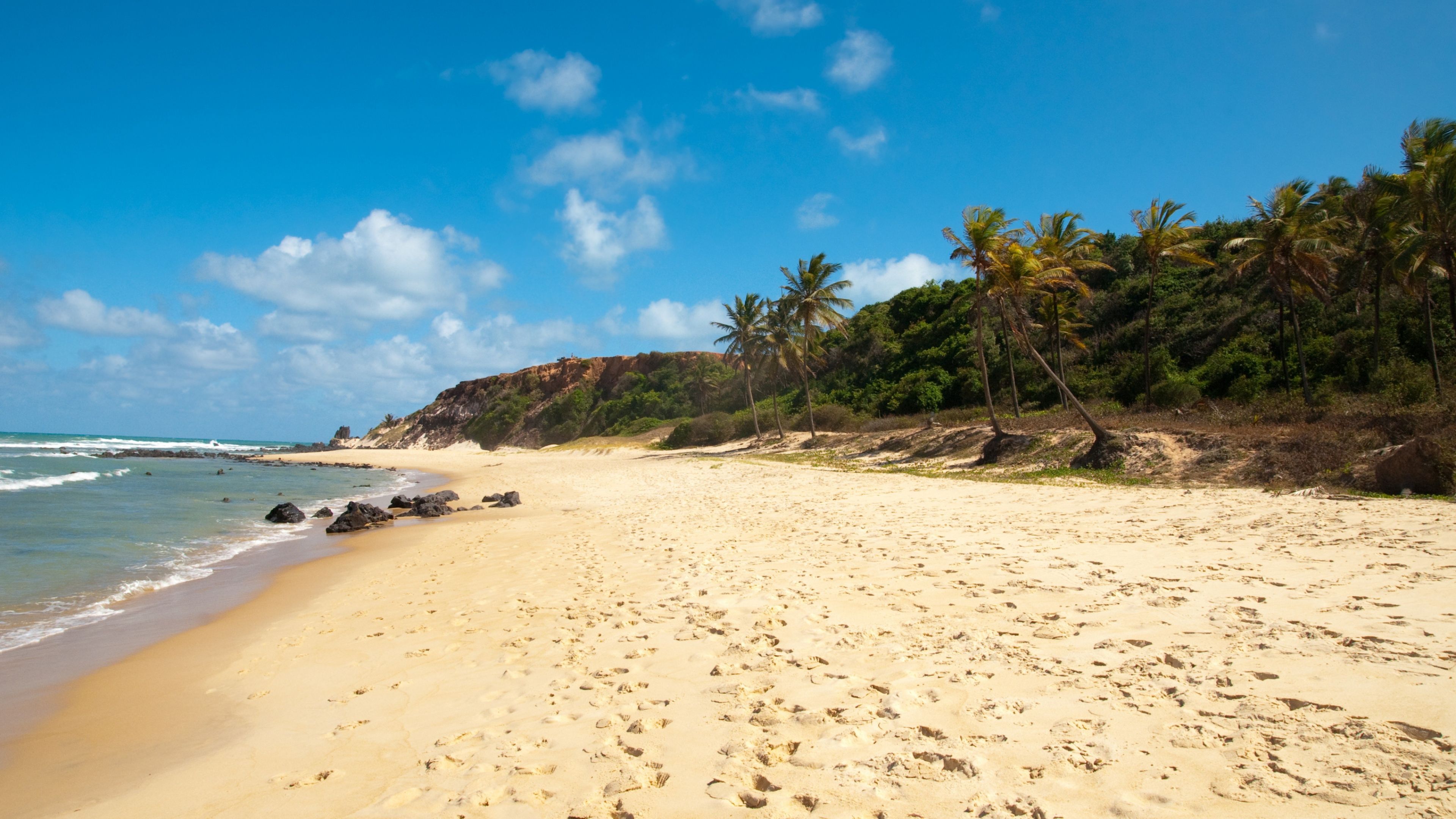 Spiaggia tropicale con palme, 3840x2160 Ultra HD, Monitor 4K