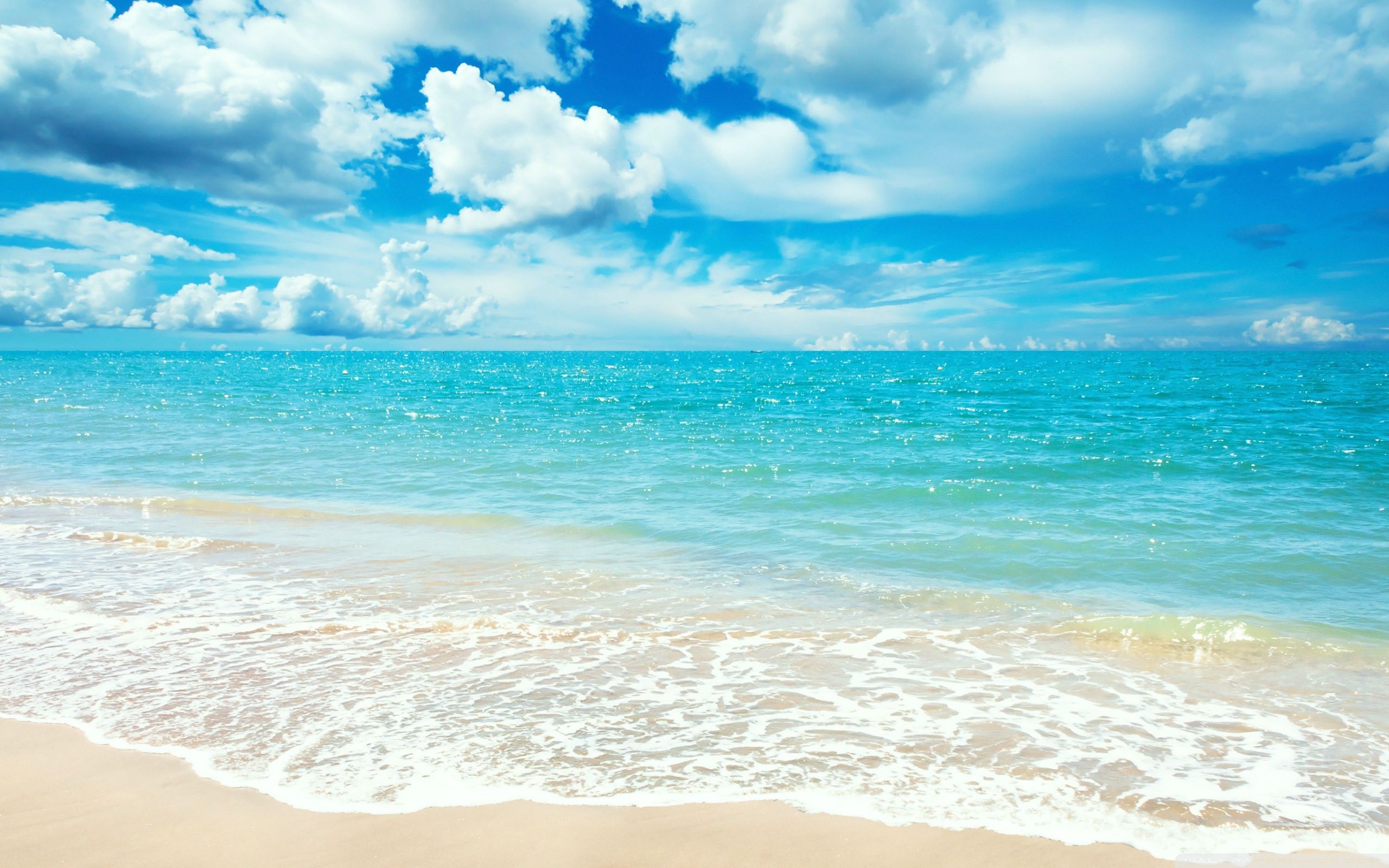 Spiaggia tropicale mare turchese, 2560x1600 2K, MacBook Pro