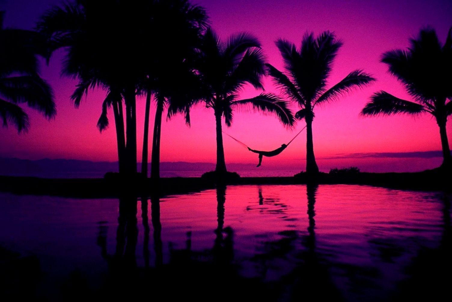 Palme silhouette tramonto spiaggia, 1504x1004 HD, Desktop