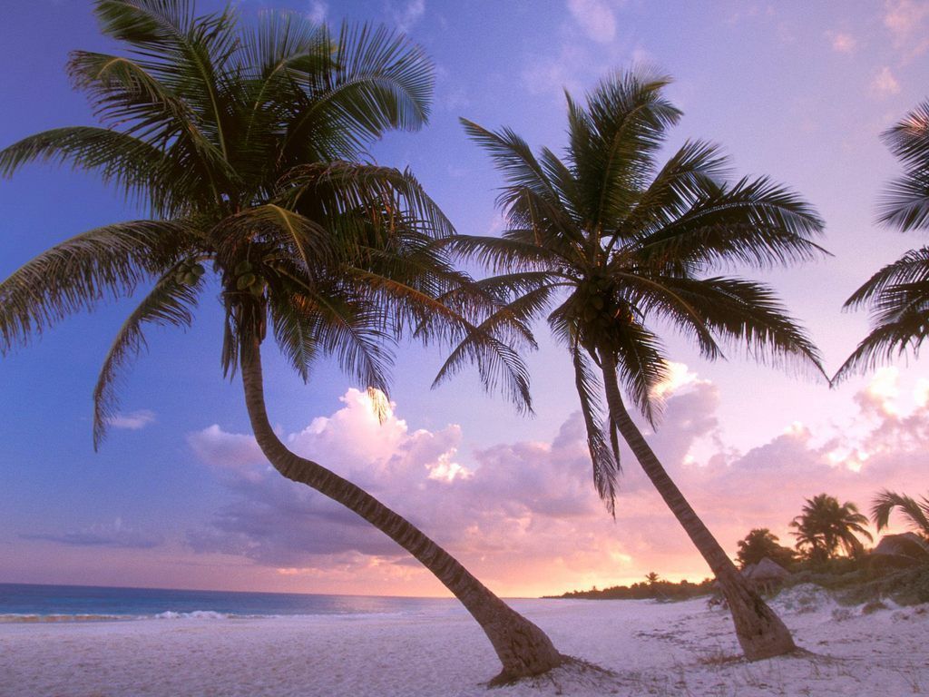 Palme spiaggia tramonto Cancun, 1024x768 HD, PC Desktop