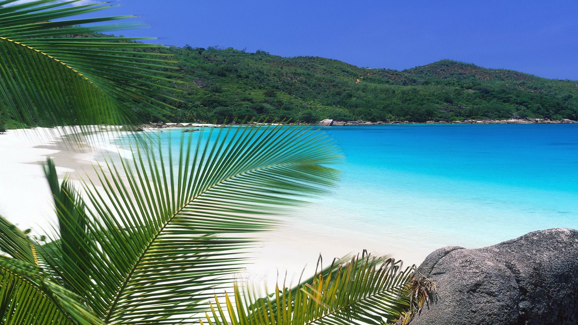 Spiaggia tropicale con palme, 1920x1080 Full HD, Desktop