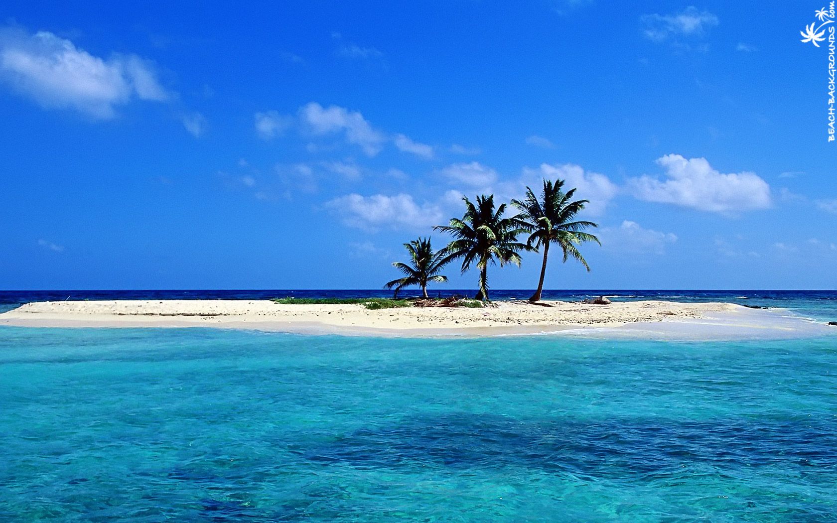 Isolotto tropicale con palme, 1680x1050 HD Ready, PC