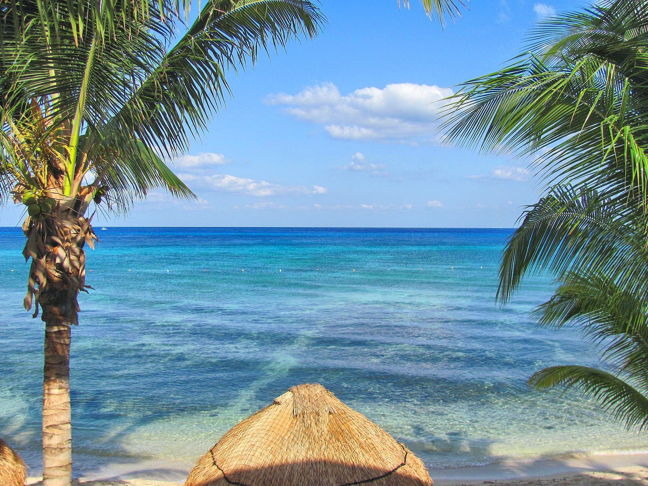 Spiaggia Cozumel palme mare, 2272x1704 alta risoluzione, PC Desktop