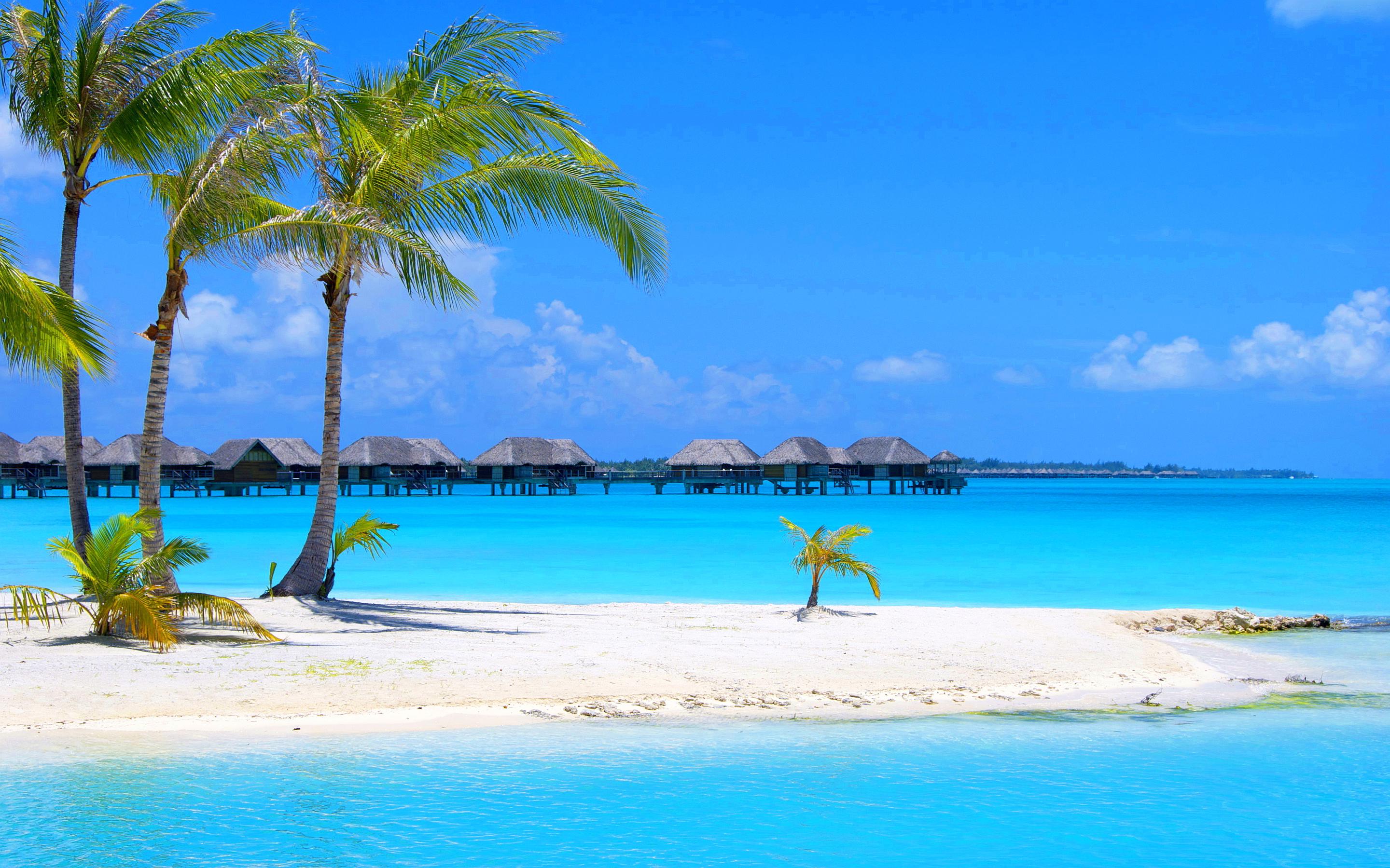 Spiaggia tropicale con palme e bungalow, 2880x1800 WQXGA, PC