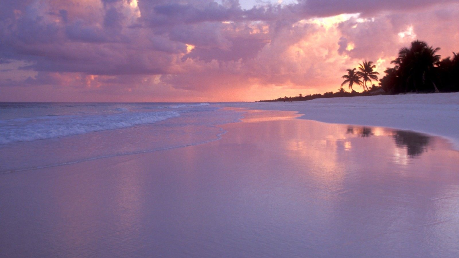 Spiaggia tramonto palme riflesso, 1600x900 900p, Desktop
