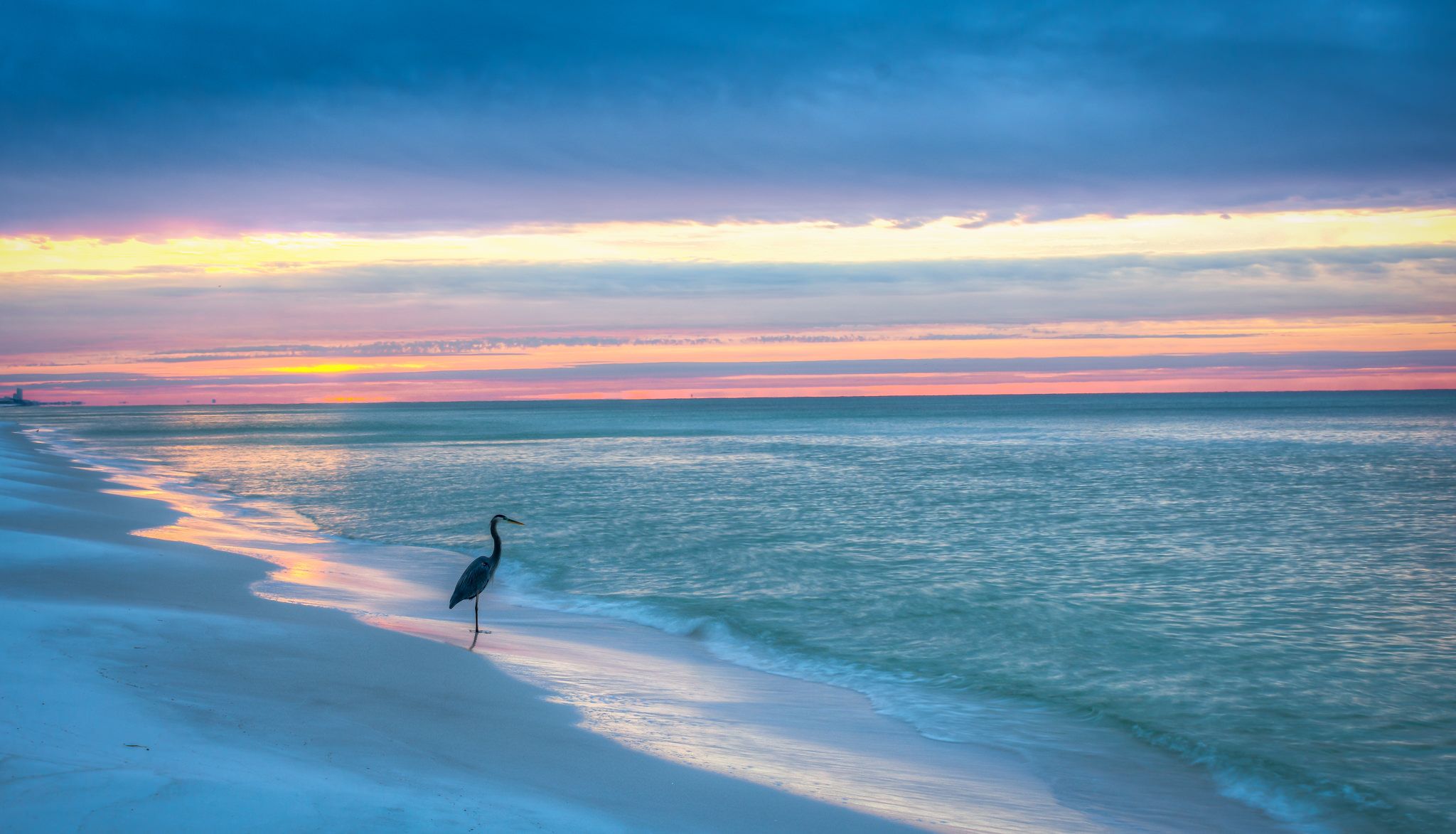 Airone su spiaggia al tramonto, 2048x1173 2K, Desktop
