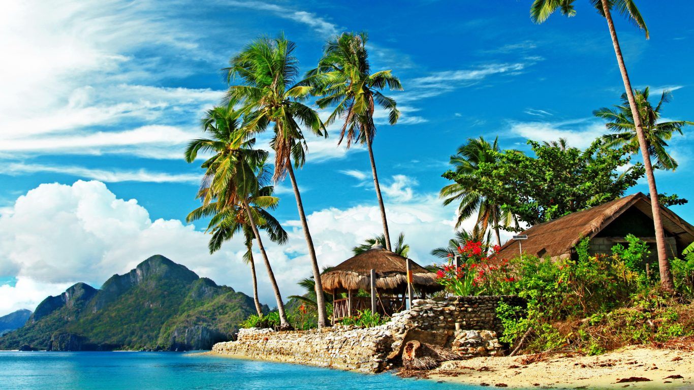 Spiaggia tropicale con palme, 1366x768 720p, PC