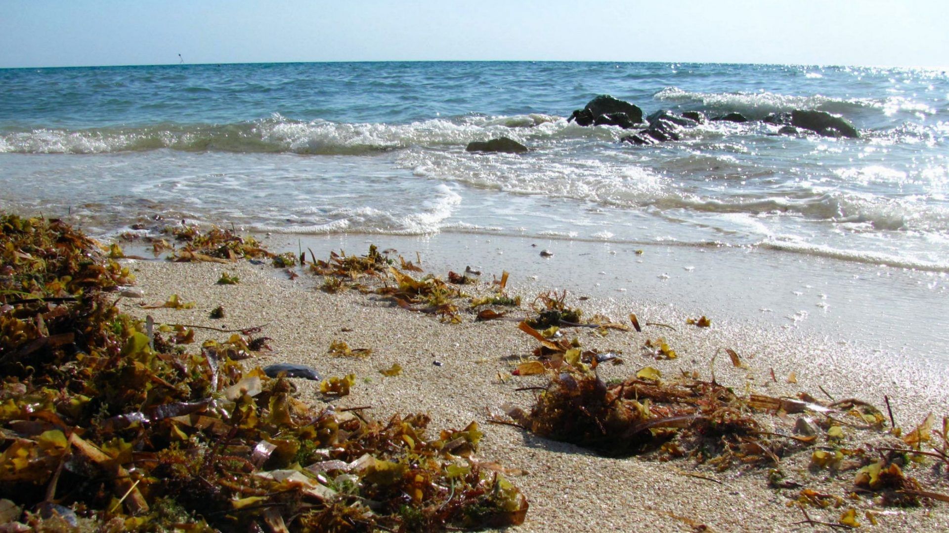 Spiaggia con alghe e onde, 1920x1080 Full HD, PC Desktop