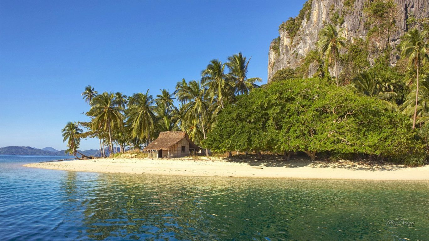 Spiaggia tropicale con palme e capanna, 1366x768 720p, iMac