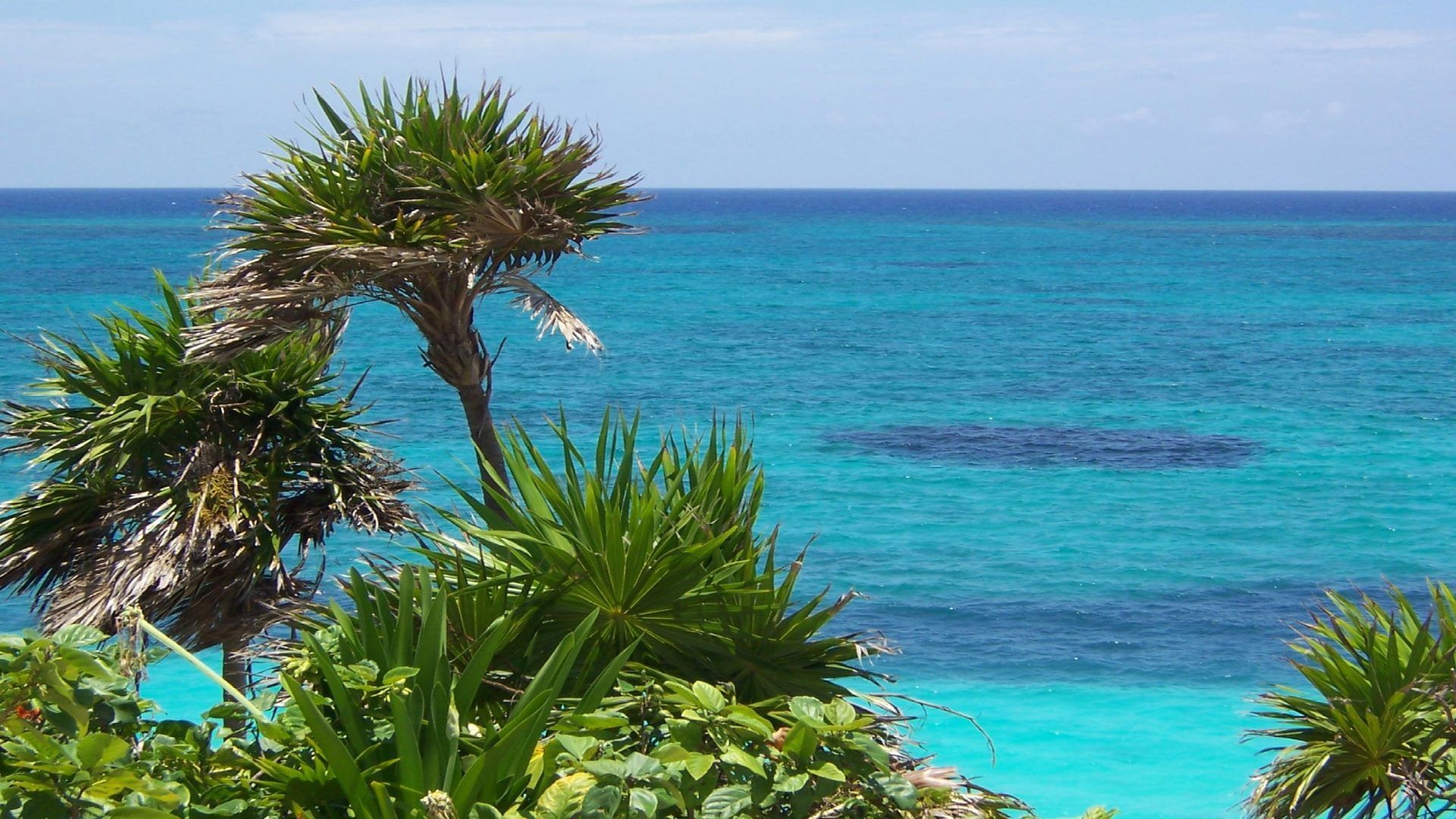 Spiaggia messicana con palme, 1920x1080 Full HD 1080p, Desktop