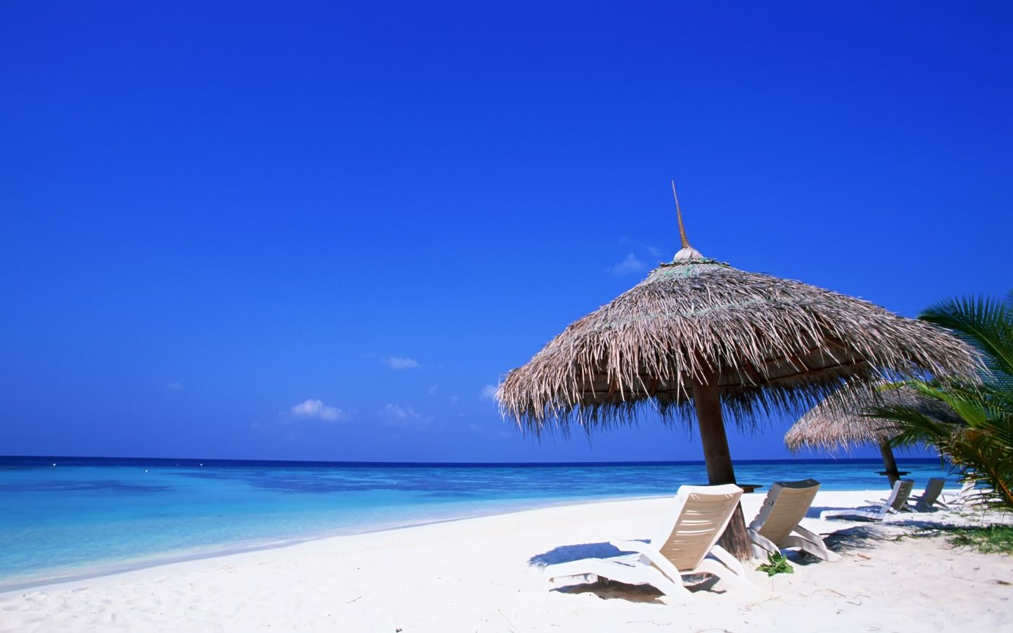 Spiaggia tropicale con ombrellone paglia, 1440x900 HD, Desktop