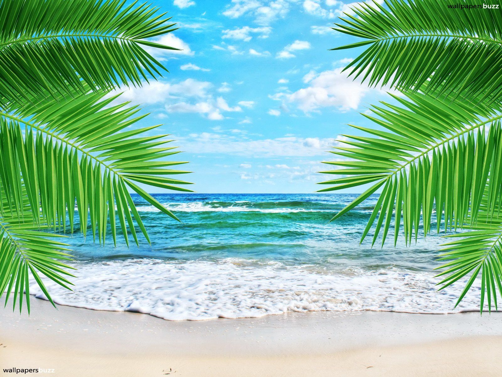Spiaggia tropicale con palme, 1600x1200 HD Ready, Desktop