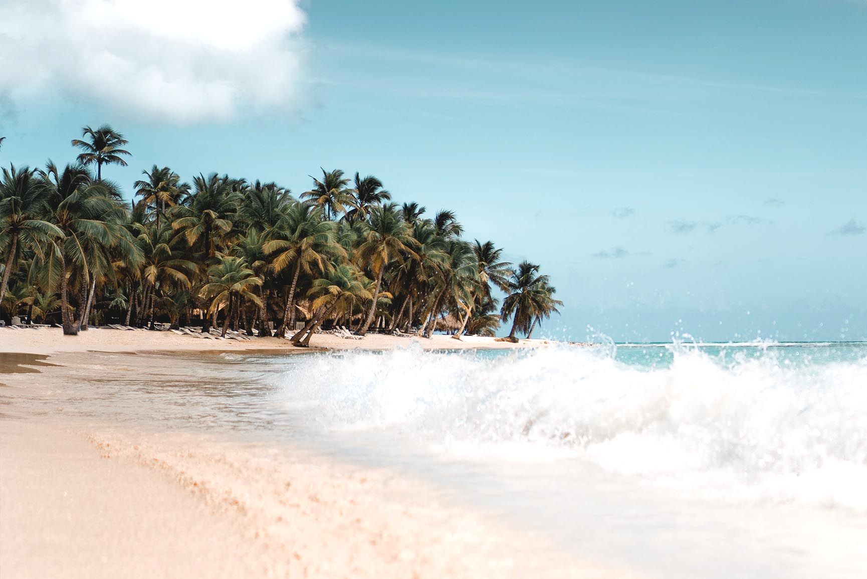 Spiaggia tropicale con palme, 1730x1155 HD Ready, PC