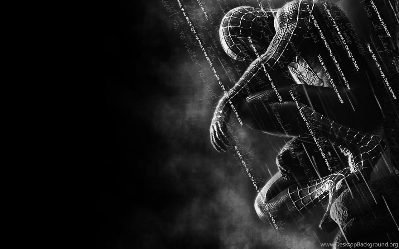 Spider-Man bianco e nero, 1280x800 HD, Desktop