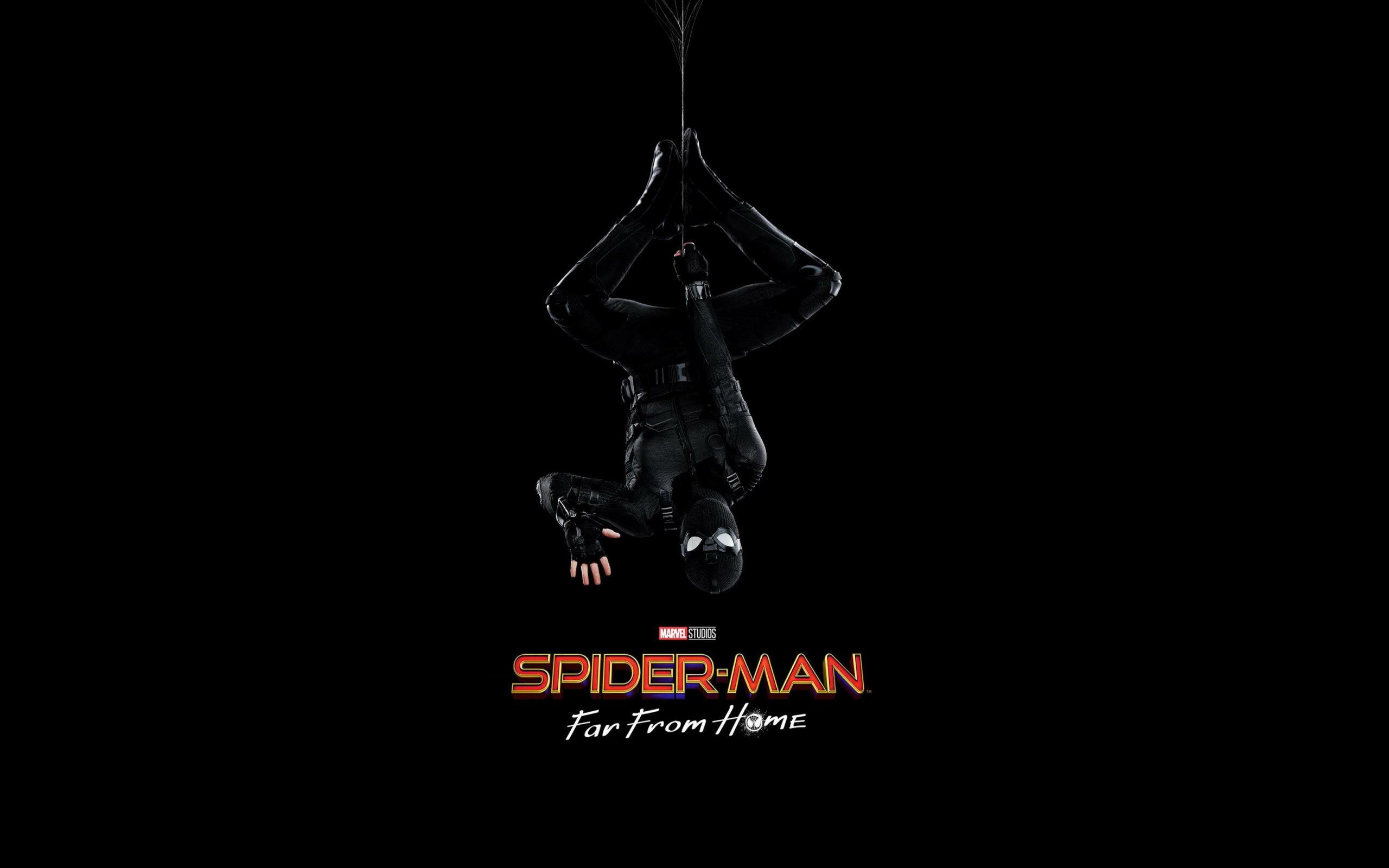 Spider-Man tuta nera capovolto, 2560x1600 2K, Desktop