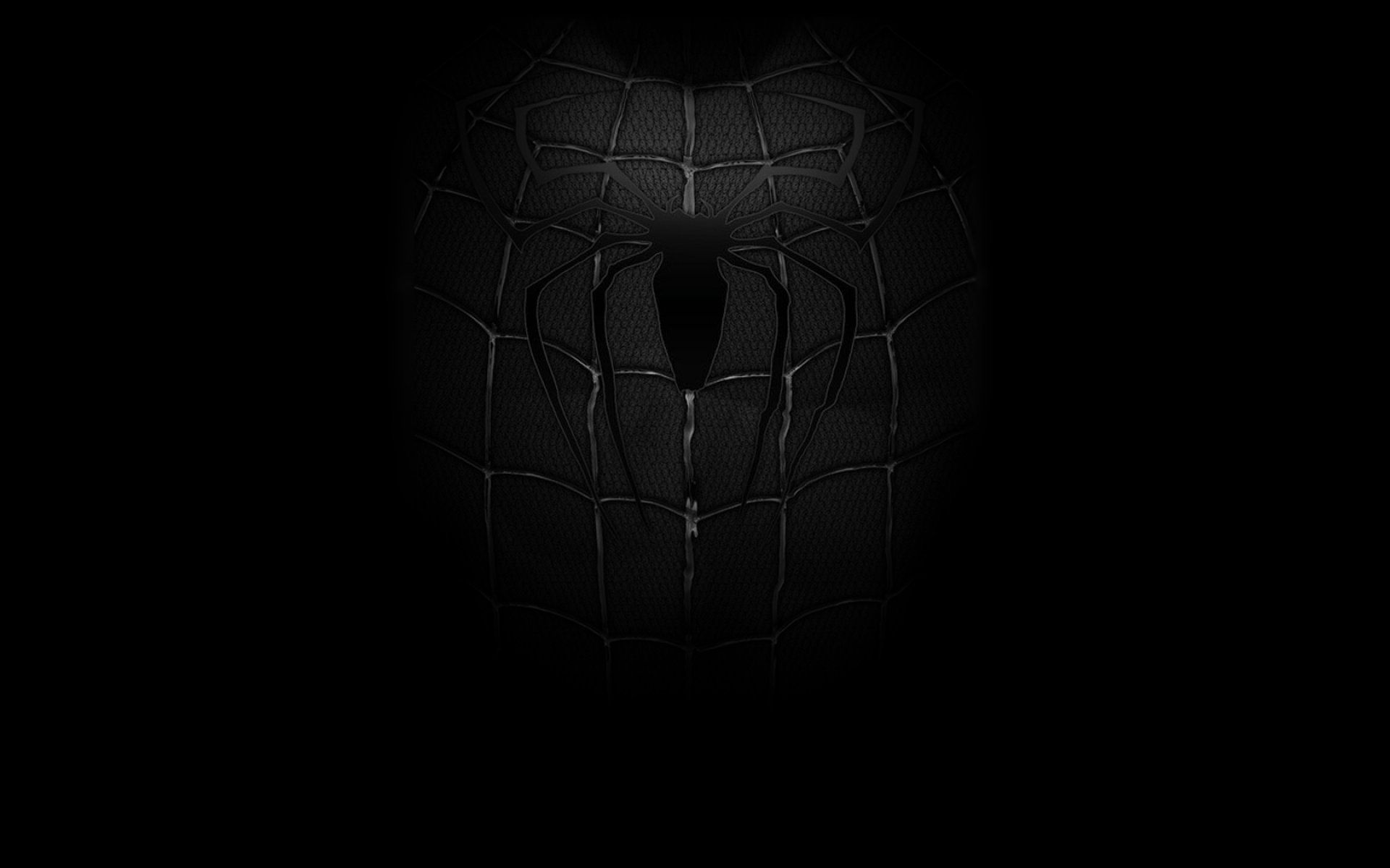 Spider-Man torso nero oscuro, 1920x1200 WUXGA, Desktop