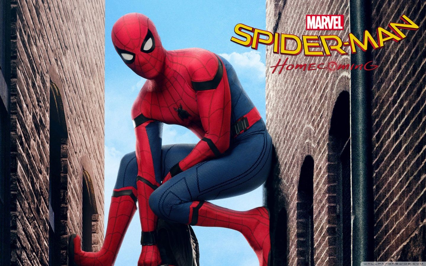 Spider-Man tra edifici, 1440x900 HD, Desktop