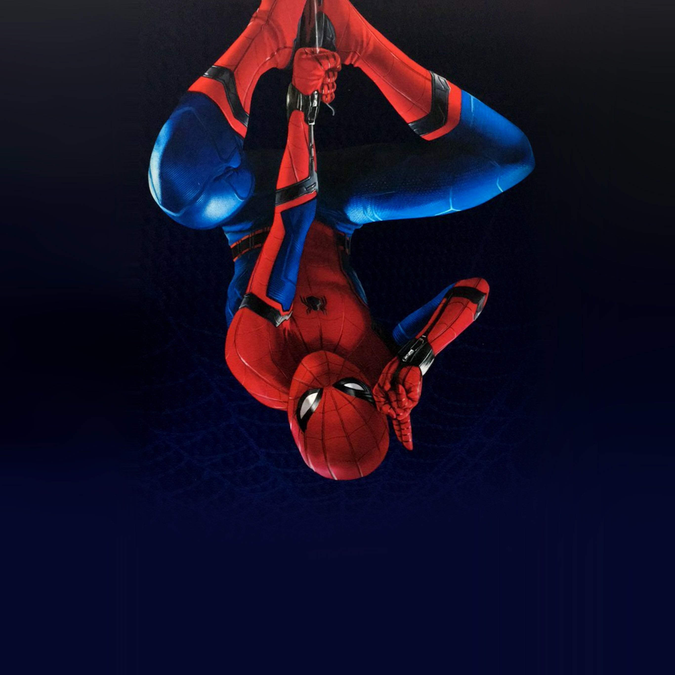 Spider-Man appeso a testa in giù, 2732x2732 2K+, Laptop