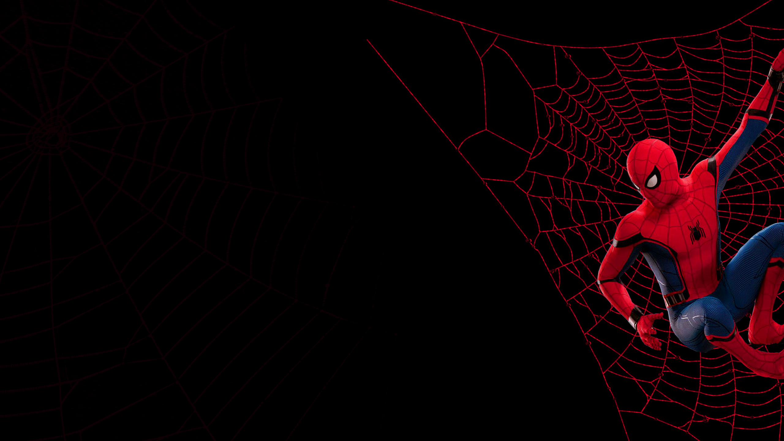 Spider-Man Homecoming ragnatela rossa, 2560x1440 1440p, Desktop