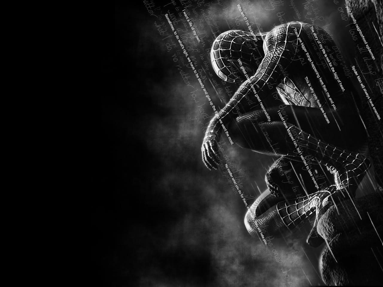 Spider-Man nero su rete, Marvel, 1280x960 HD, Desktop