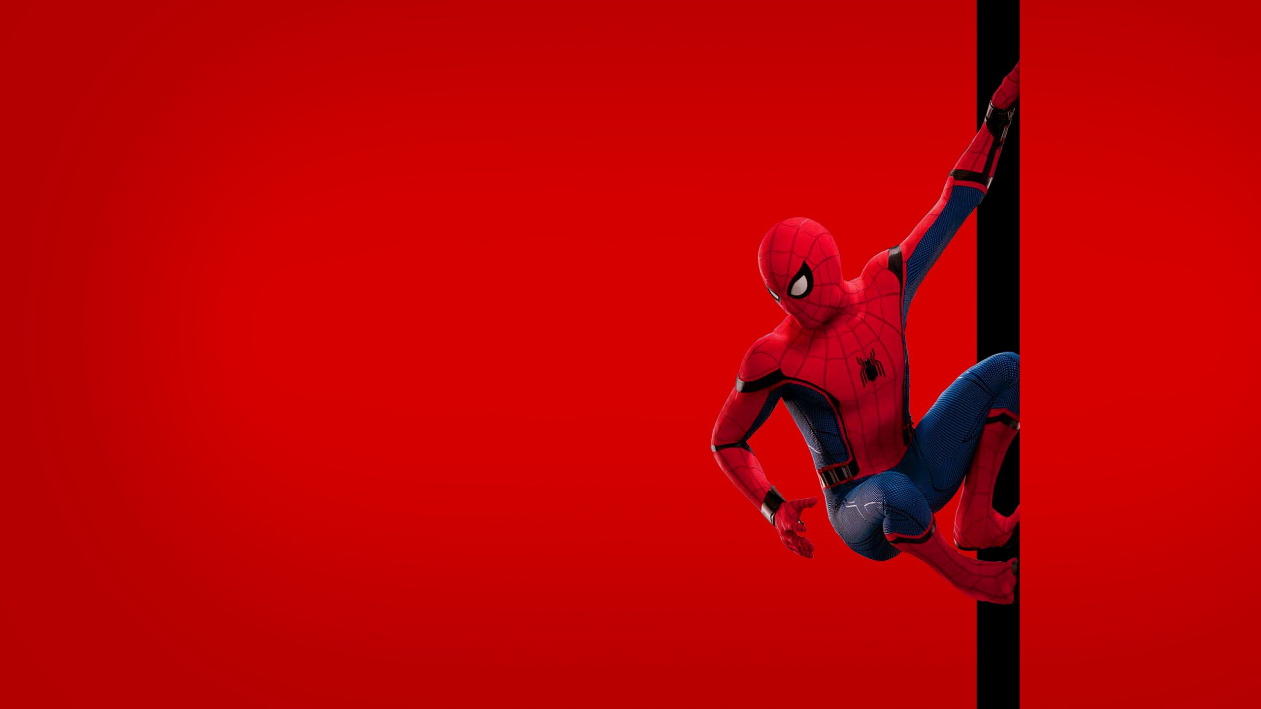 Spider-Man su sfondo rosso, Marvel, 2560x1440 1440p, Desktop